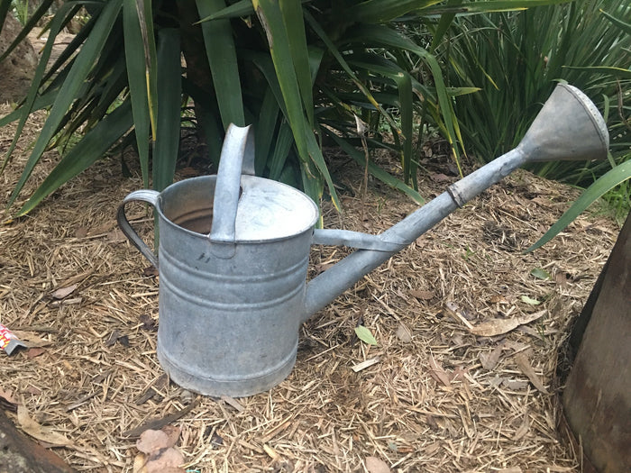 Vintage European  Galvenized Watering Cans #2849