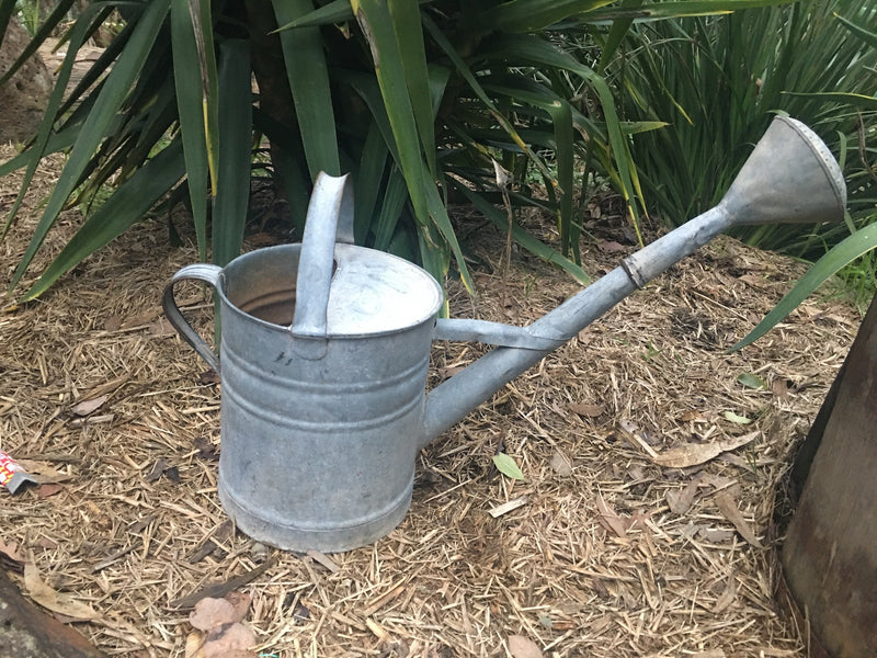 Vintage European  Galvenized Watering Cans #2849