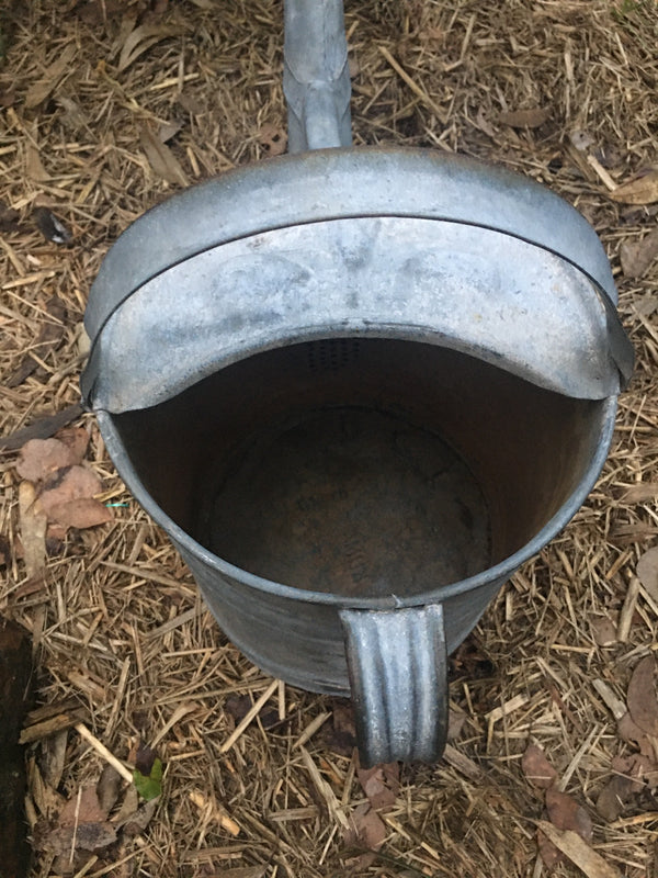 Vintage European  Galvenized Watering Cans #2849
