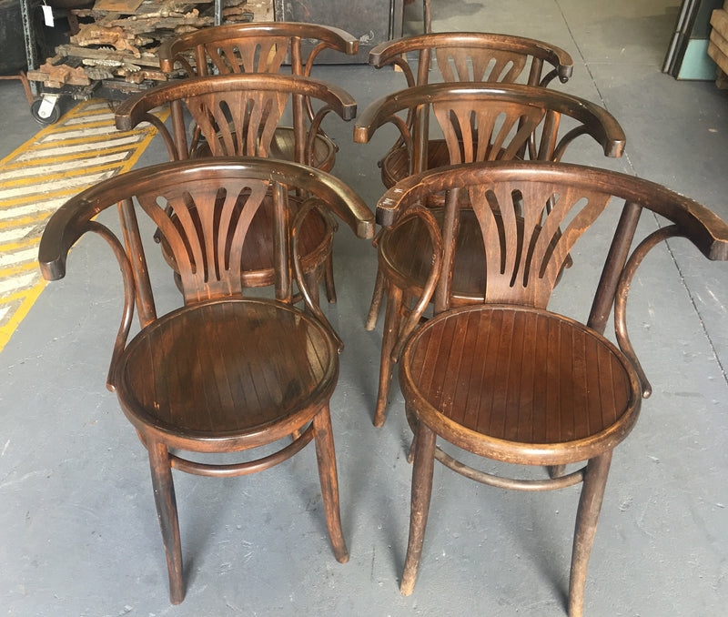Vintage Czech Thonet Chairs x 6  # 3056