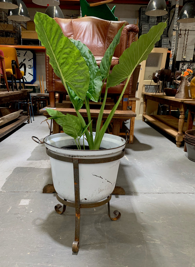 Vintage Hungarian Enamel Cauldron with Wrought Iron  Stand #4483
