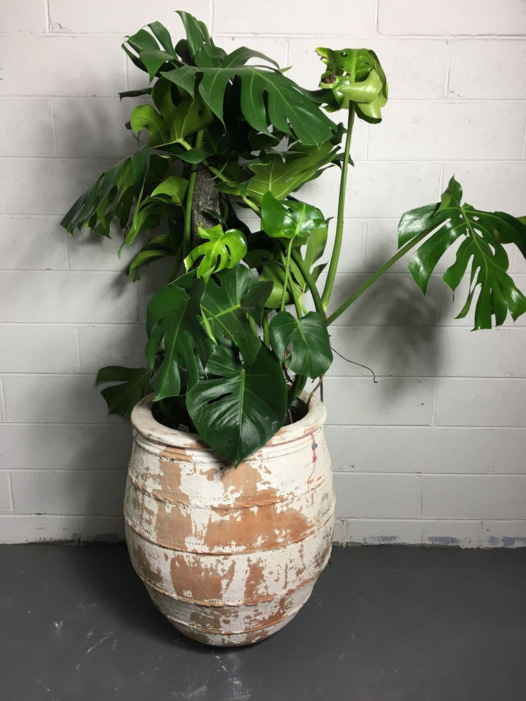 Vintage Turkish Terracotta  Big Mouth Pot #3242 (1) on hold Hannah