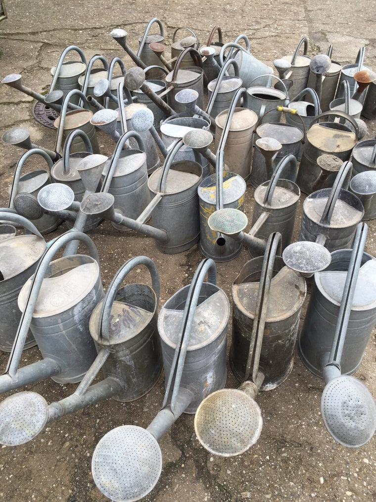Vintage industrial French galvenized watering cans #1121