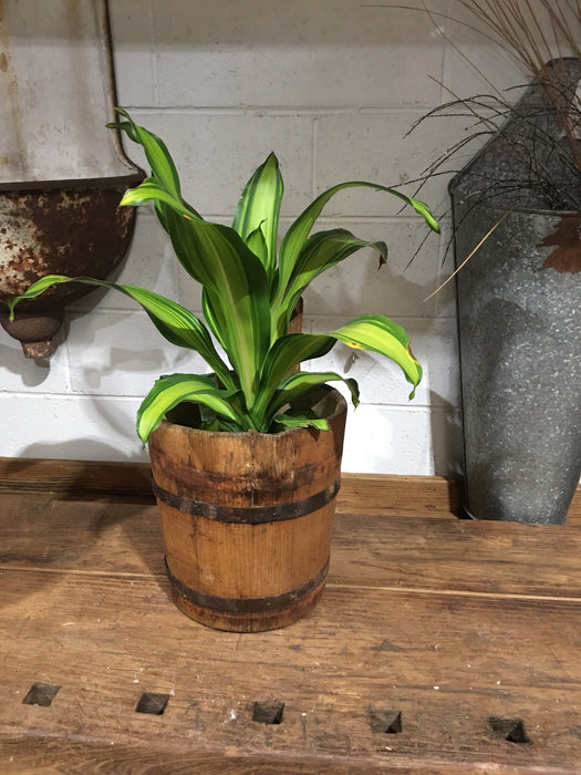 Vintage  European Wooden Bucket #3305