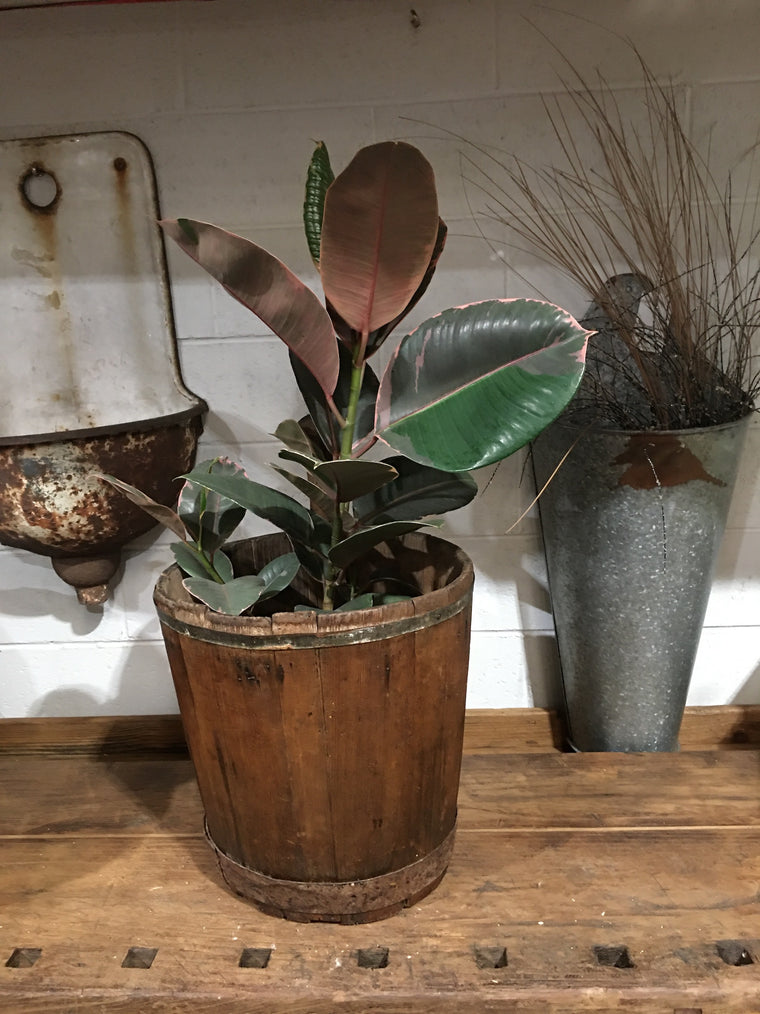 Vintage  European Wooden Bucket #3306